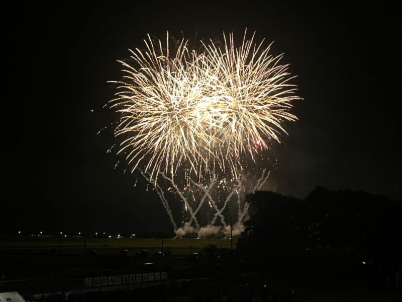 庄川右岸で音楽に合わせて花火が上がり、訪れた人は歓声を上げた